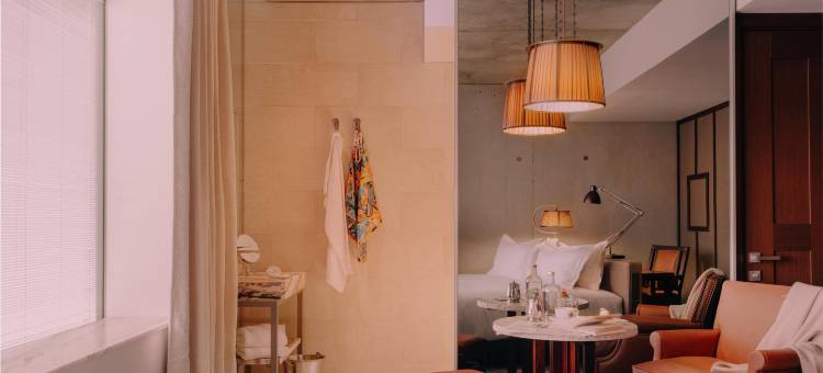 梅森赫勒梅斯，希尔顿好奇精选酒店(Maison Heler Metz, Curio Collection by Hilton)图片