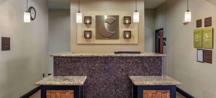 派瑞斯舒适酒店(Comfort Inn & Suites Paris)图片