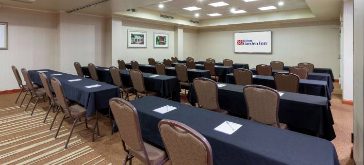 明尼阿波利斯/布卢明顿希尔顿花园酒店(Hilton Garden Inn Minneapolis/Bloomington)图片