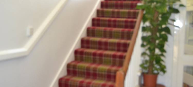 南岸旅馆(Southbank Guesthouse)图片