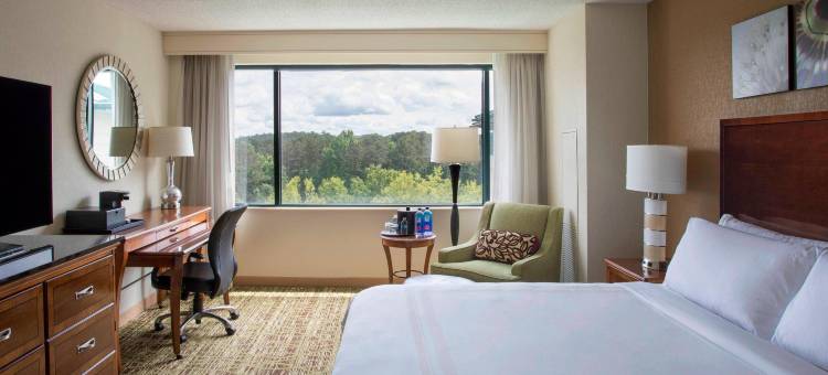 亚特兰大阿尔普哈雷塔万豪酒店(Atlanta Marriott Alpharetta)图片