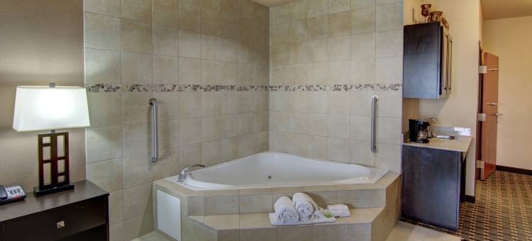 智选假日套房酒店亨茨维尔(Holiday Inn Express & Suites Huntsville)图片