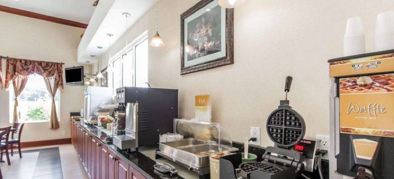 凯艺套房酒店(Quality Inn & Suites)图片