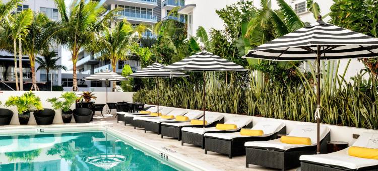 迈阿密海滩Croydon酒店(Hotel Croydon Miami Beach)图片