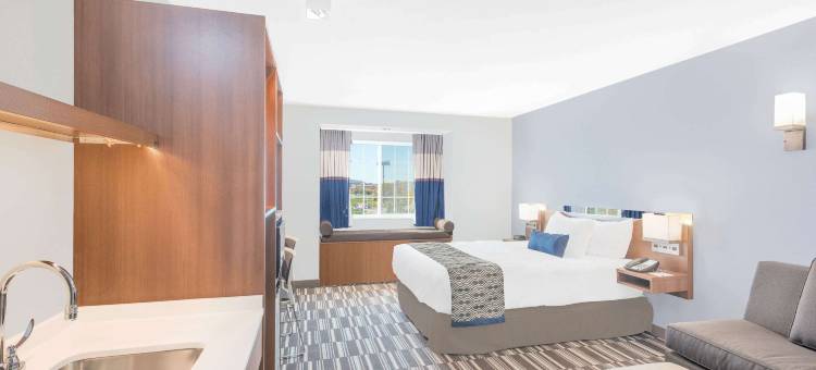 宾厄姆顿温德姆麦客达套房酒店(Microtel Inn & Suites by Wyndham Binghamton)图片