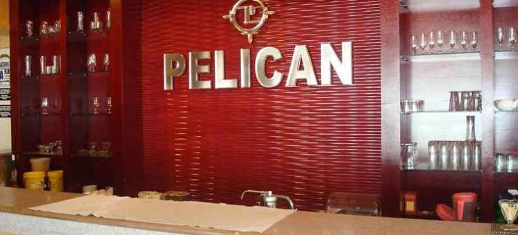碧玉宫大酒店(Pelican Hotel)图片