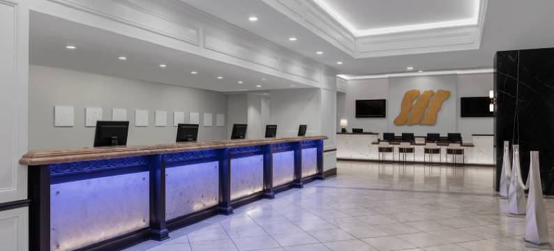 格兰德城堡万豪酒店(Marriott's Grand Chateau)图片