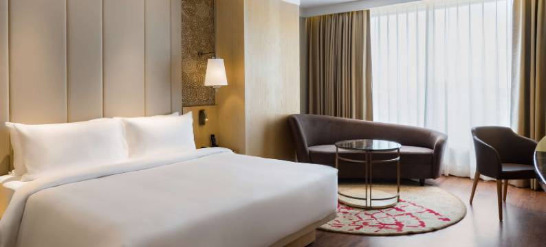 波泰尔丽笙酒店(Radisson Bhopal)图片