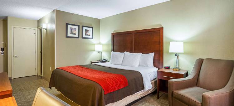 市中心舒适酒店(Comfort Inn Downtown)图片