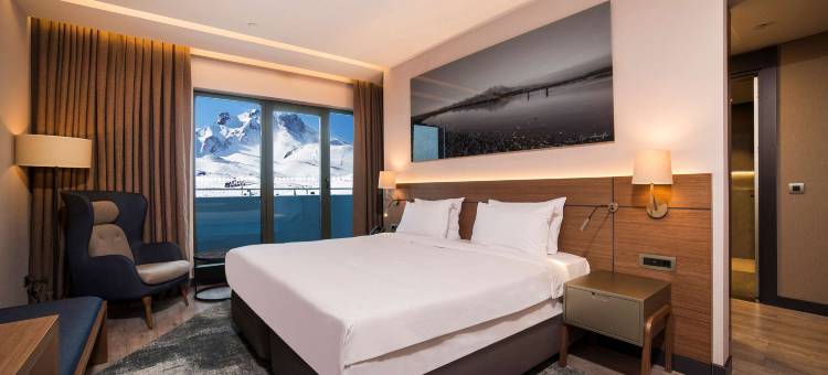 埃尔西耶斯山丽笙酒店(Radisson Blu Hotel, Mount Erciyes)图片