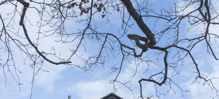 George Hotel, Signature Collection图片