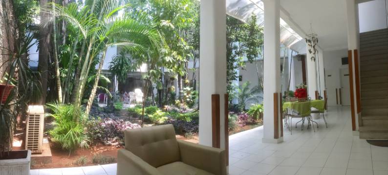 帕尔马斯德索尔酒店(Hotel Palmas del Sol)图片