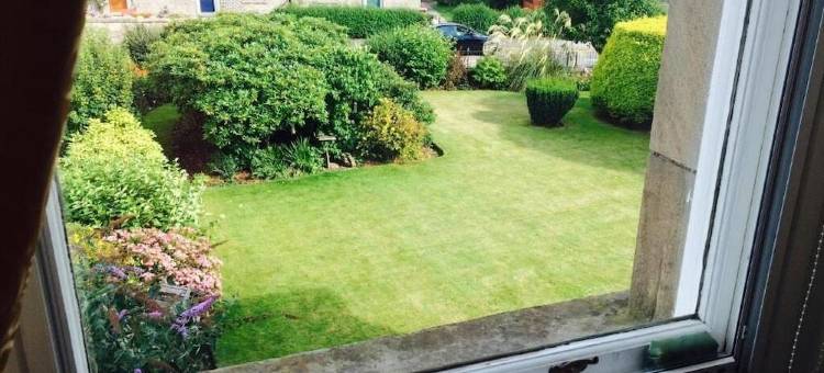 松树旅馆(The Pines Guest House)图片