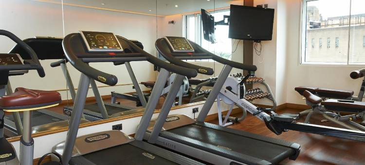 佩斯塔纳切尔西桥酒店(Pestana Chelsea Bridge Hotel & SPA)图片