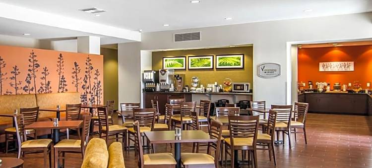 拉夫金美茵斯坦套房酒店(MainStay Suites Lufkin)图片