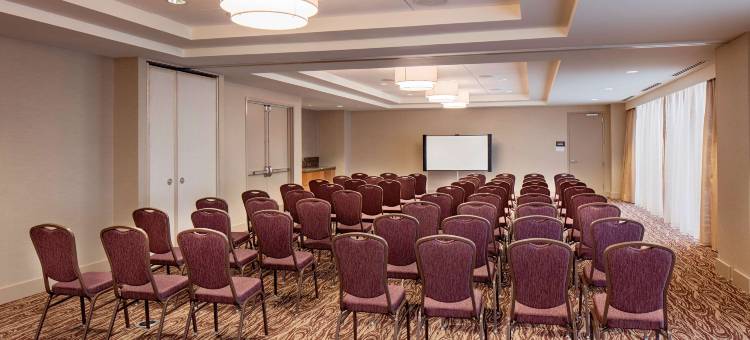 达拉斯市区希尔顿花园酒店(Hilton Garden Inn Downtown Dallas)图片