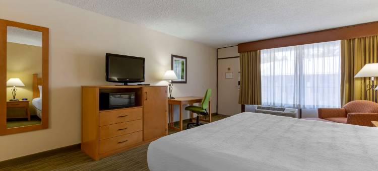 马驹彩屋贝斯特韦斯特酒店(Best Western Paint Pony Lodge)图片