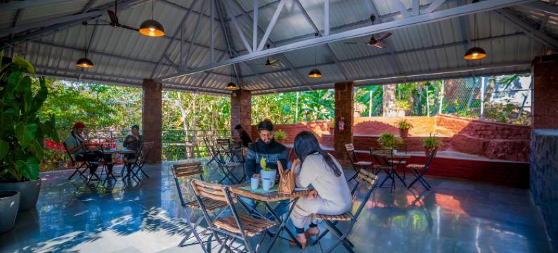 萨维达农场及小屋(SpicyMango Saveda Farm & Cottages)图片