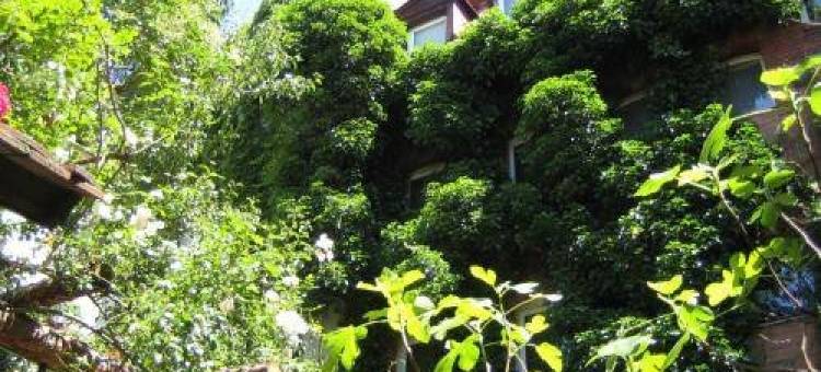 Arthotel Hotel Nuremberg图片