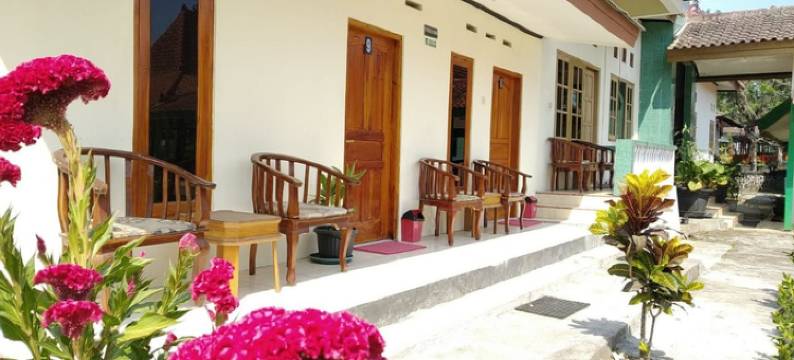 普特里杜扬旅馆(Putri Duyung Guest House)图片