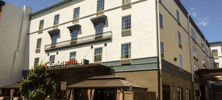 卡莱尔市中心舒适套房酒店(Comfort Suites Downtown Carlisle)图片