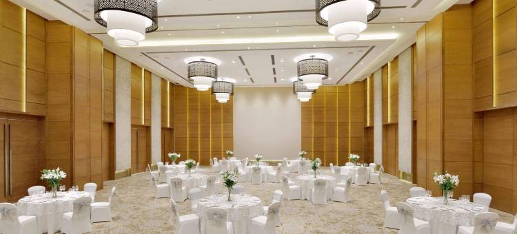 莱普尔万怡酒店(Courtyard Raipur)图片