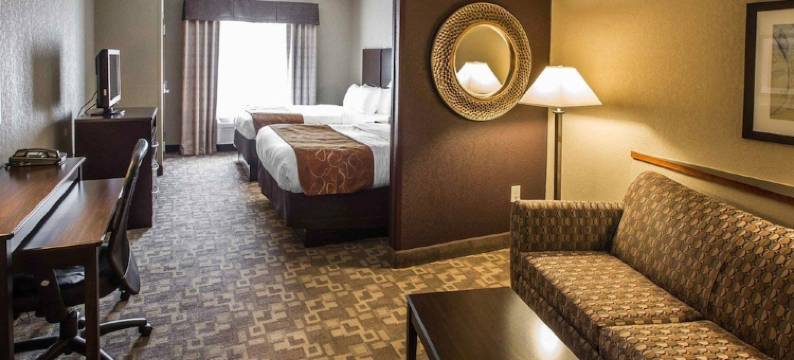 舒适套房酒店-惠特塞特格林斯博罗东(Comfort Suites Whitsett - Greensboro East)图片