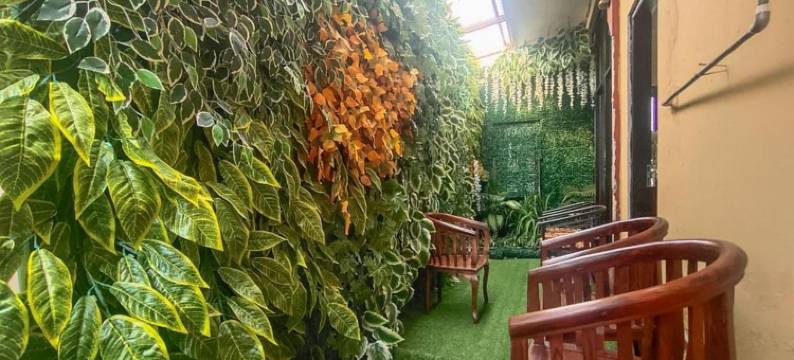 红多兹酒店@马老奇市中心(RedDoorz @ Merauke City Center)图片