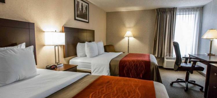 会议中心舒适酒店-芝加哥奥黑尔机场(Comfort Inn Convention Center-Chicago O'Hare Airport)图片