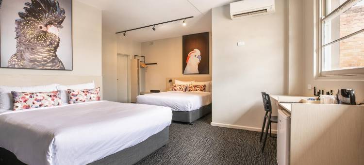 查尔斯睡帽酒店(Nightcap at the Charles Hotel)图片