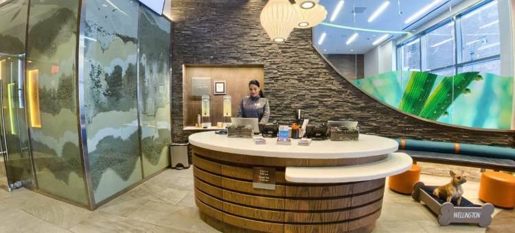 纽约时代广场南逸衡酒店(Even Hotel New York - Times Square South)图片