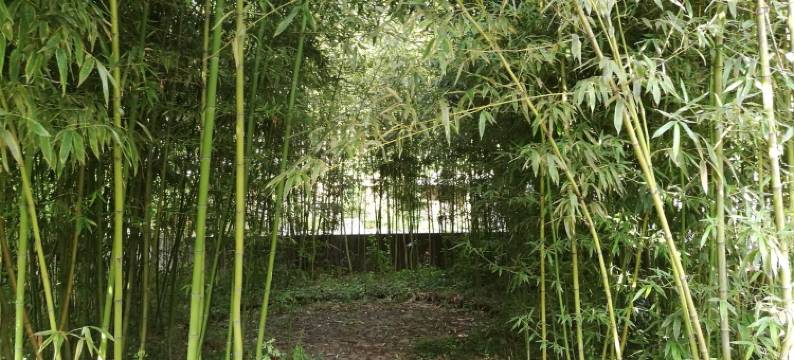 泰安九皋山房客栈图片