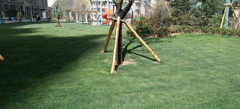 忆涵主题家庭公寓(青石路分店)图片