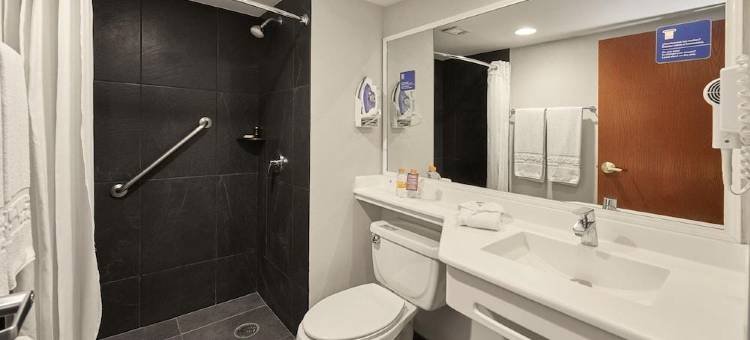 墨西哥城阿拉米达万豪城市快捷酒店(City Express by Marriott Ciudad de Mexico Alameda)图片