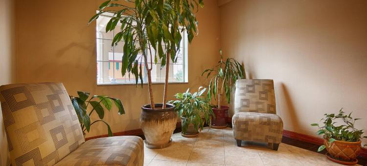克里夫兰贝斯特韦斯特套房酒店(Best Western Cleveland Inn  Suites)图片