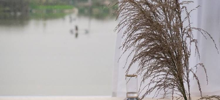 留时边树民宿(顺德陈村店)图片