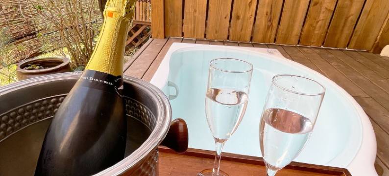 下田庄滨边之汤(Hamabe No Yu Shimodaso Ryokan)图片