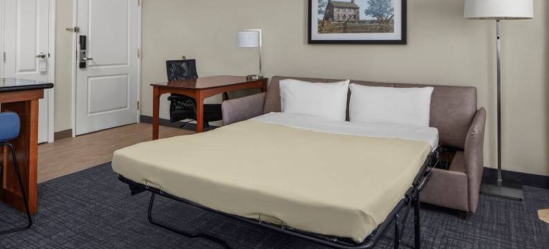 马纳萨斯战场公园Residence Inn 酒店(Residence Inn Manassas Battlefield Park)图片