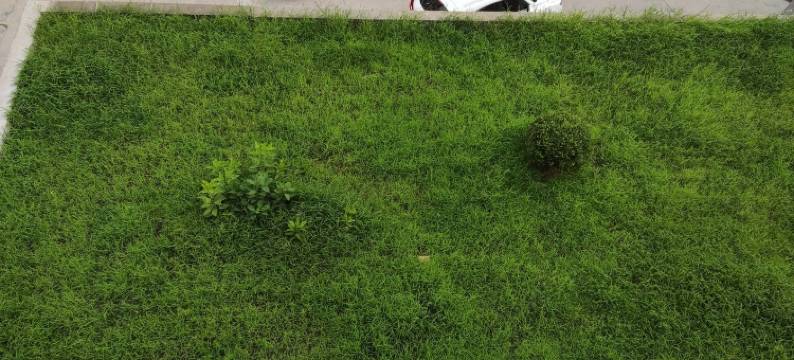 乐乐民宿(统一路分店)图片