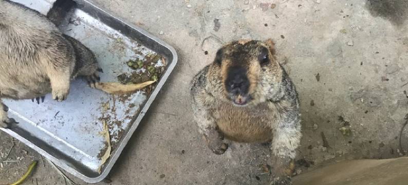 新悦住宿经济房公寓(富兴村二巷分店)图片