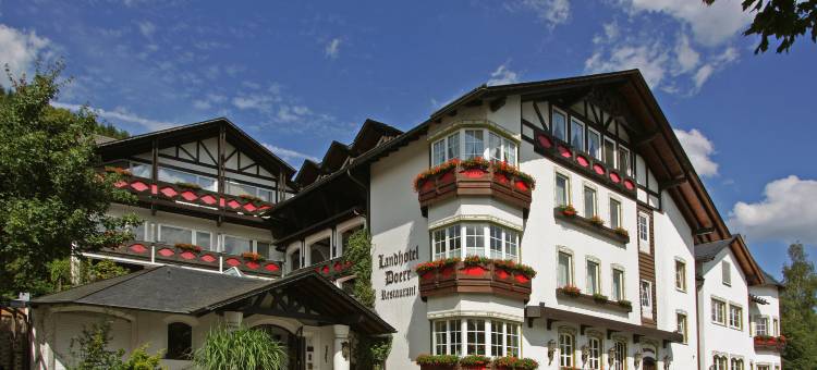 杜伊尔乡村浪漫酒店(Doerr Landhotel & Spa)图片