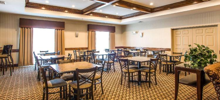 奥什科什舒适套房酒店(Comfort Suites)图片