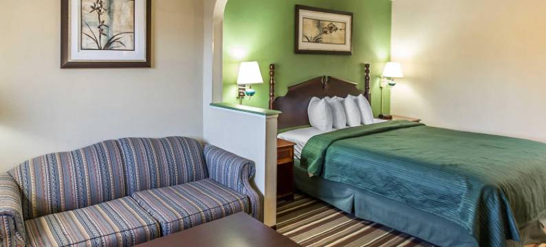 梅肯北凯艺套房酒店(Quality Inn & Suites Macon North)图片