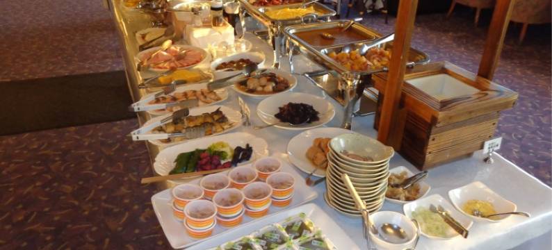 高崎城市酒店(Takasaki Urban Hotel)图片