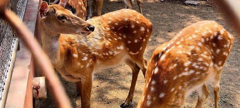 逅来民宿(明德街分店)图片