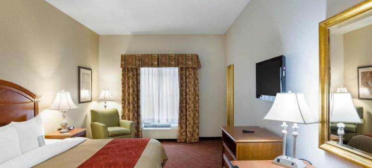 舒适套房酒店-近医疗中心(Comfort Inn & Suites Near Medical Center)图片