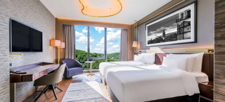 瓦迪斯坦布尔丽笙精选酒店(Radisson Collection Hotel Vadistanbul)图片