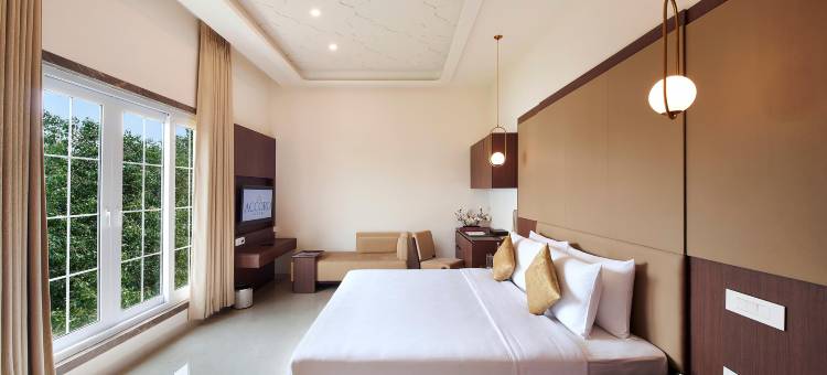 阿科德铬(Accord Chrome)图片