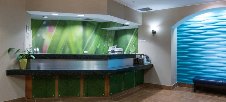 格林斯伯勒SpringHill Suites 酒店(SpringHill Suites Greensboro)图片