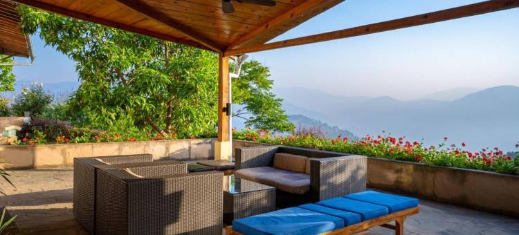 生活之树Junoon山中(Tree of Life Junoon in the Hills)图片